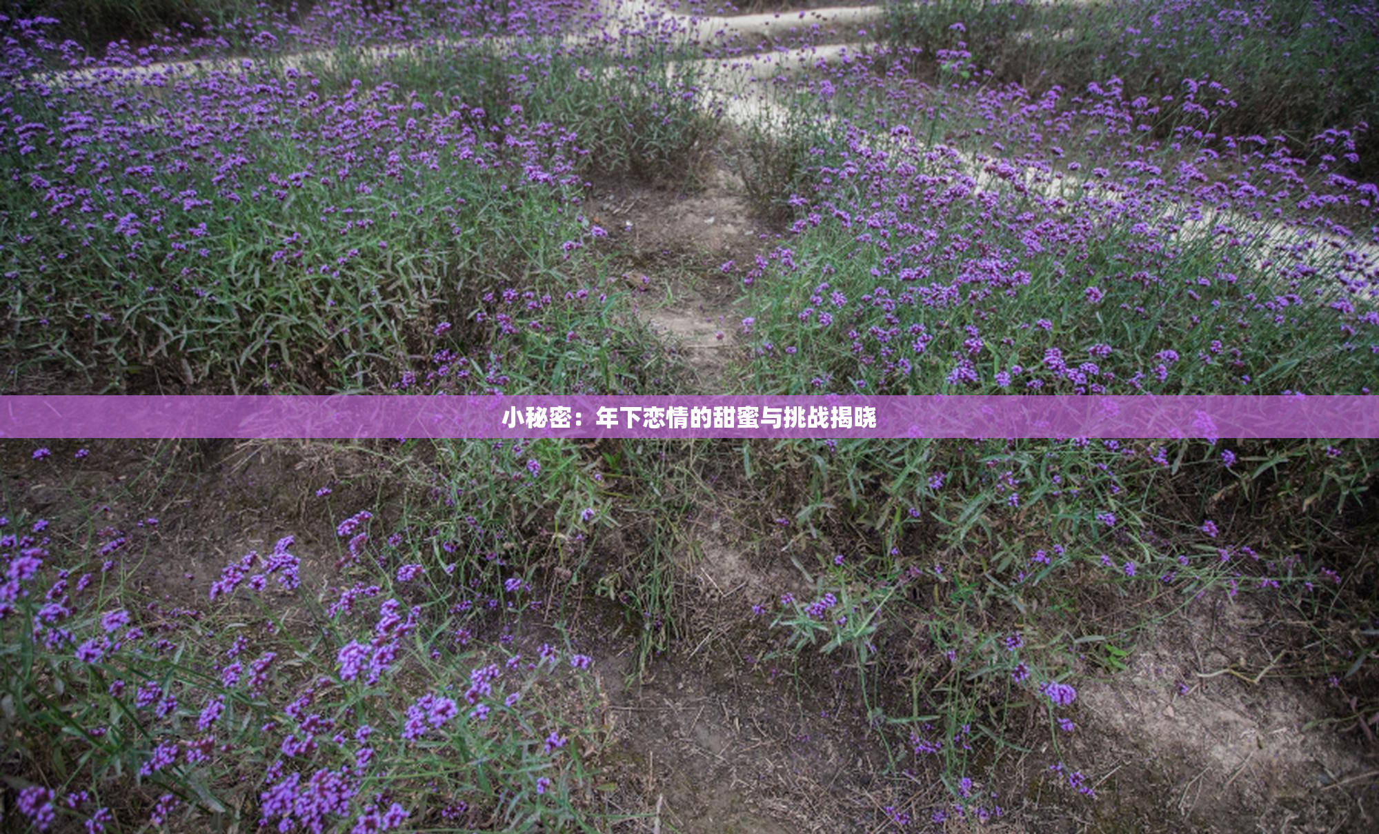 小秘密：年下恋情的甜蜜与挑战揭晓