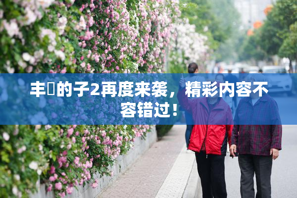 丰滿的子2再度来袭，精彩内容不容错过！