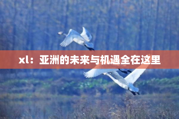 xl：亚洲的未来与机遇全在这里