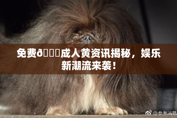 免费🔞成人黄资讯揭秘，娱乐新潮流来袭！