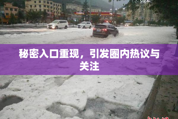 秘密入口重现，引发圈内热议与关注