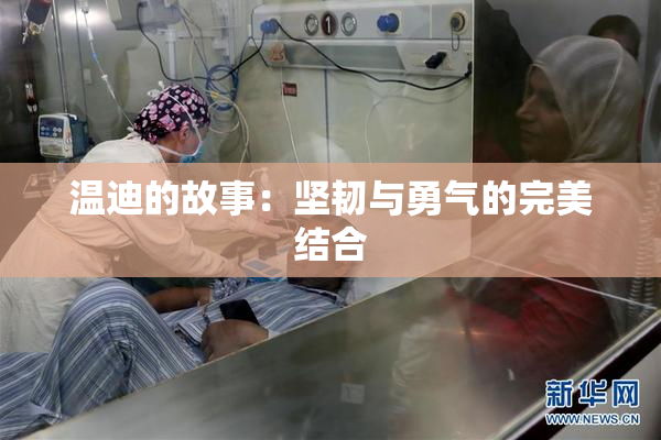 温迪的故事：坚韧与勇气的完美结合