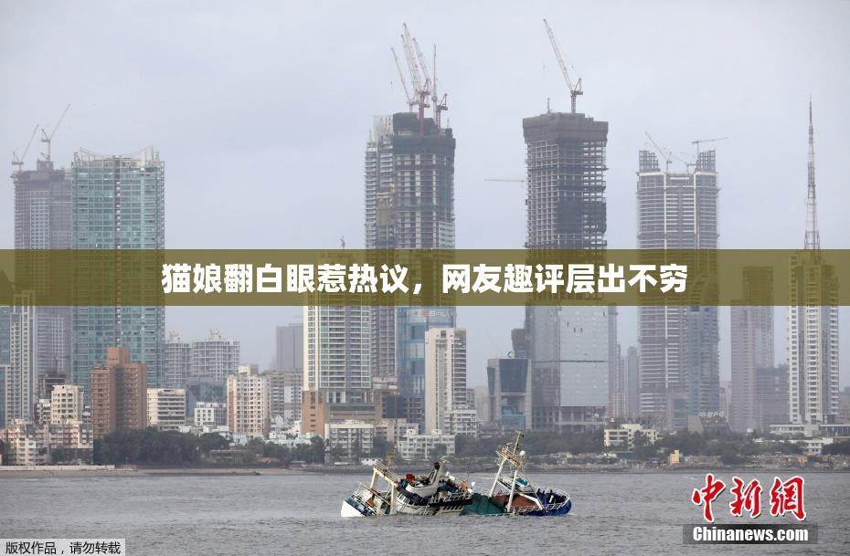猫娘翻白眼惹热议，网友趣评层出不穷