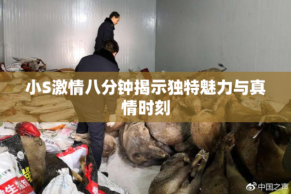 小S激情八分钟揭示独特魅力与真情时刻