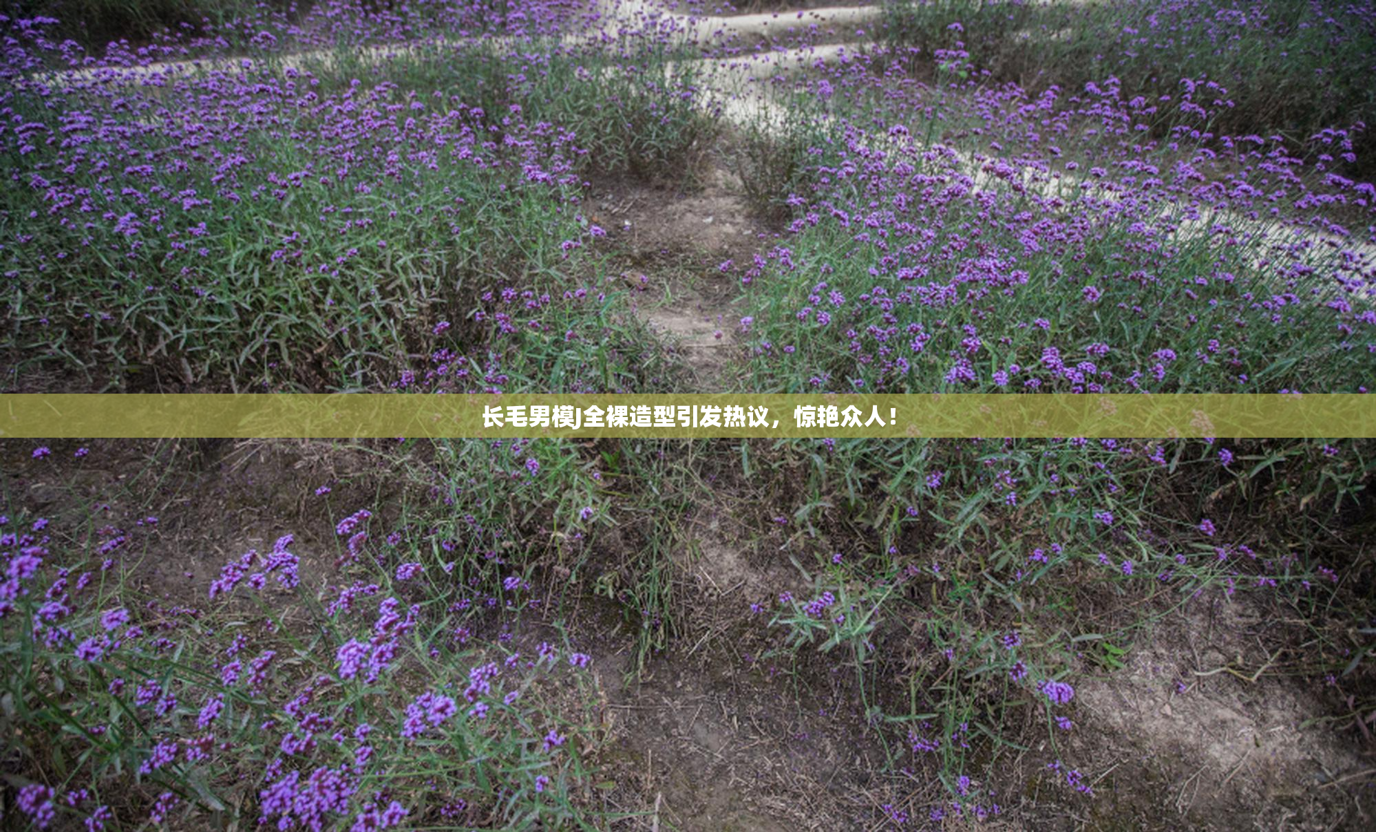 长毛男模J全裸造型引发热议，惊艳众人！