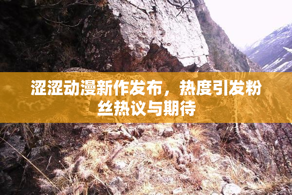 涩涩动漫新作发布，热度引发粉丝热议与期待