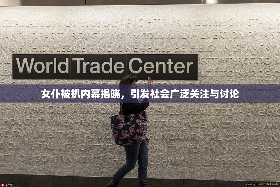 女仆被扒内幕揭晓，引发社会广泛关注与讨论