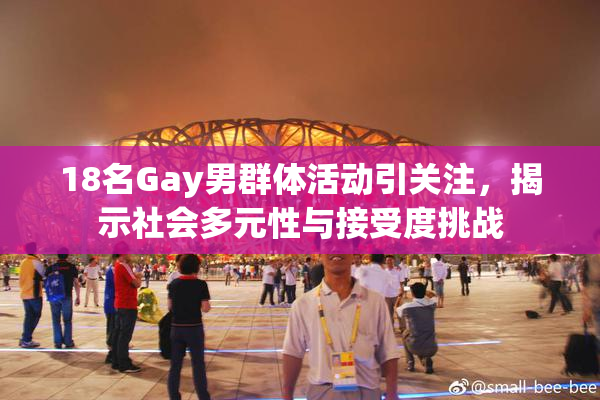 18名Gay男群体活动引关注，揭示社会多元性与接受度挑战