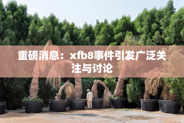 重磅消息：xfb8事件引发广泛关注与讨论