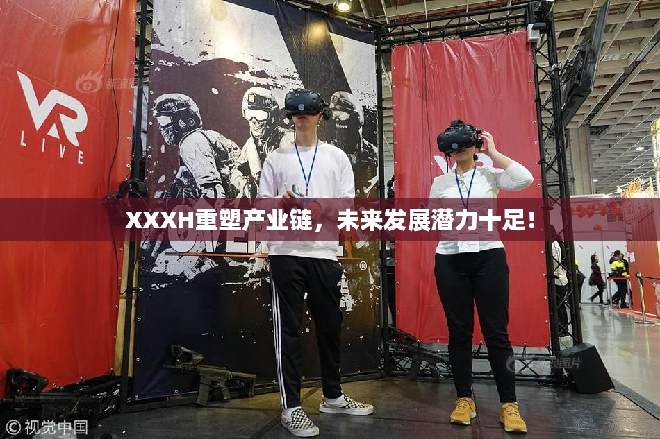 XXXH重塑产业链，未来发展潜力十足！