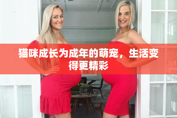 猫咪成长为成年的萌宠，生活变得更精彩