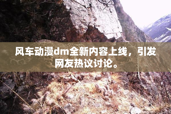 风车动漫dm全新内容上线，引发网友热议讨论。