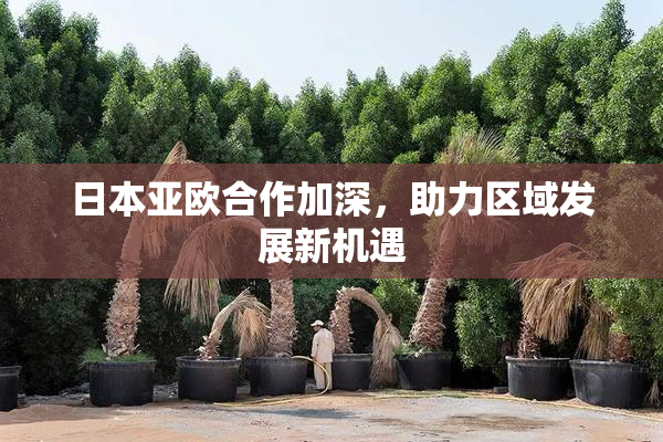 日本亚欧合作加深，助力区域发展新机遇