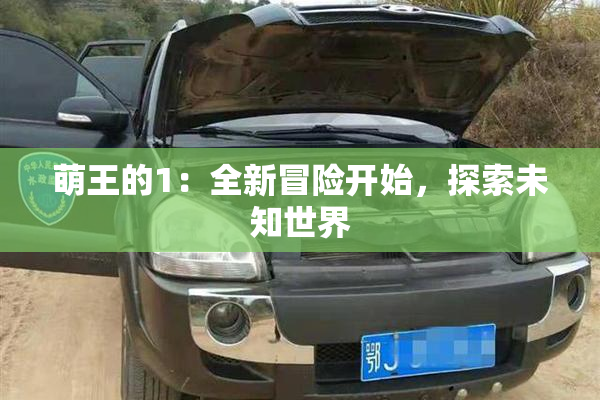 萌王的1：全新冒险开始，探索未知世界