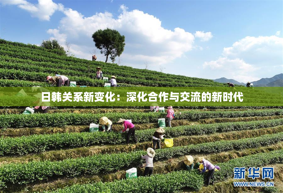 日韩关系新变化：深化合作与交流的新时代