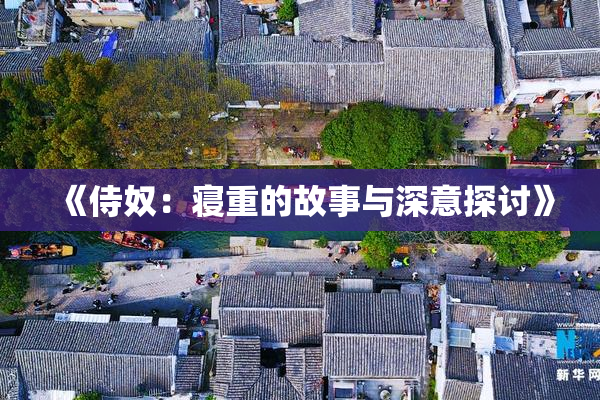 《侍奴：寝重的故事与深意探讨》