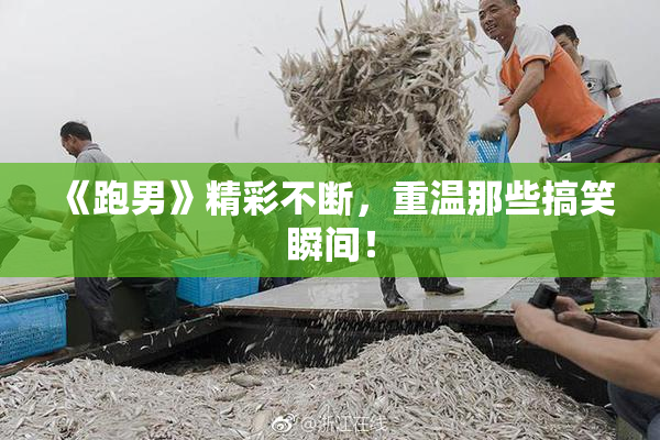 《跑男》精彩不断，重温那些搞笑瞬间！