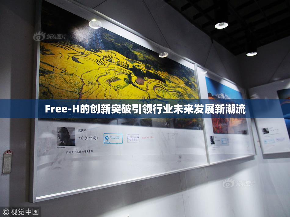 Free-H的创新突破引领行业未来发展新潮流