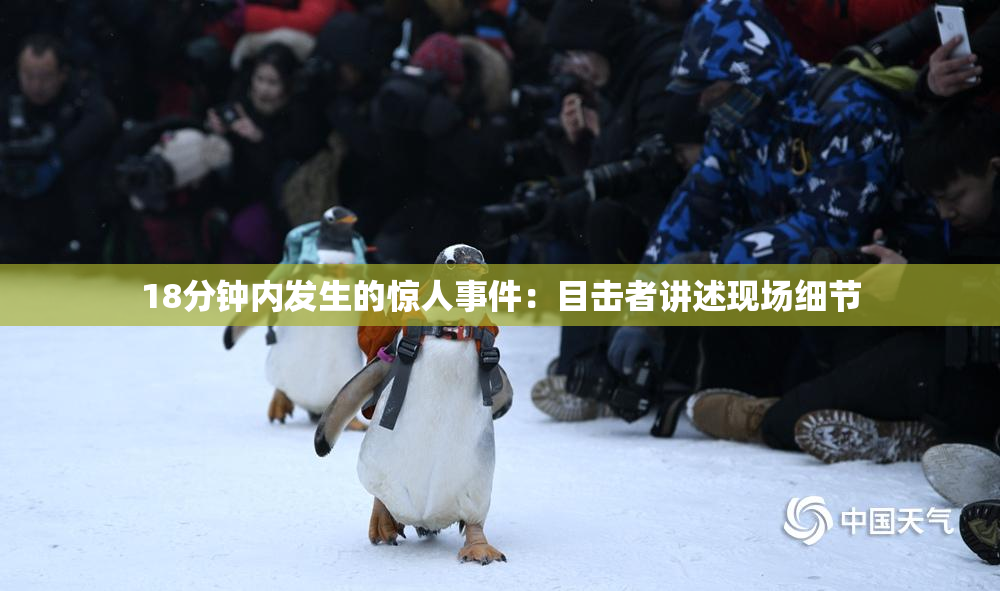 18分钟内发生的惊人事件：目击者讲述现场细节