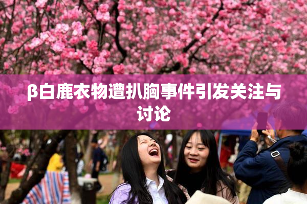 β白鹿衣物遭扒胸事件引发关注与讨论