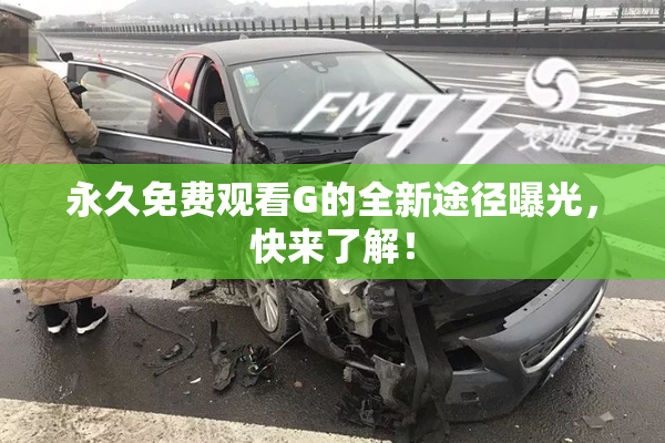 永久免费观看G的全新途径曝光，快来了解！