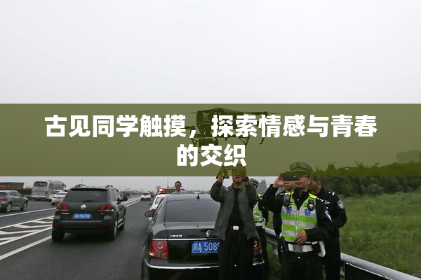 古见同学触摸，探索情感与青春的交织