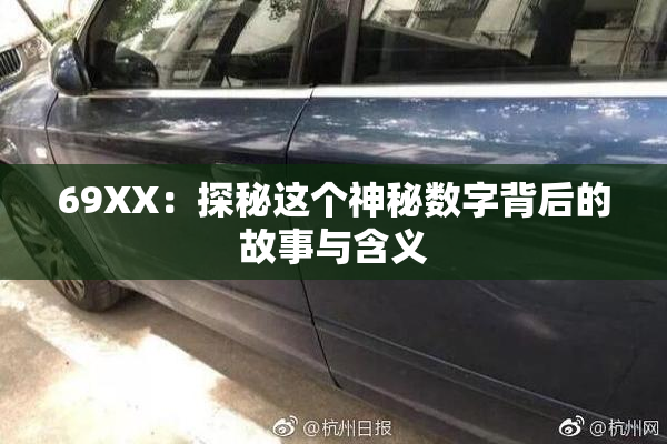 69ΧΧ：探秘这个神秘数字背后的故事与含义