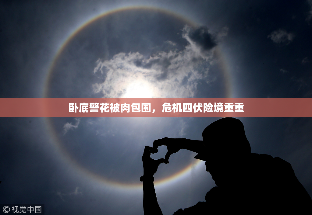 卧底警花被肉包围，危机四伏险境重重