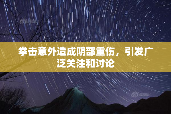 拳击意外造成阴部重伤，引发广泛关注和讨论