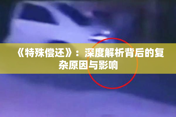 《特殊偿还》：深度解析背后的复杂原因与影响