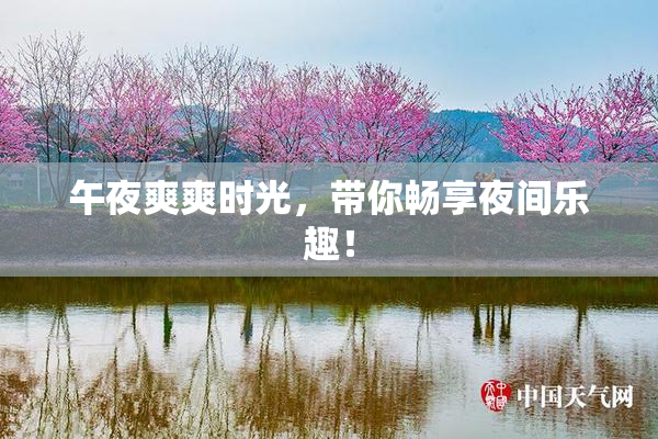 午夜爽爽时光，带你畅享夜间乐趣！
