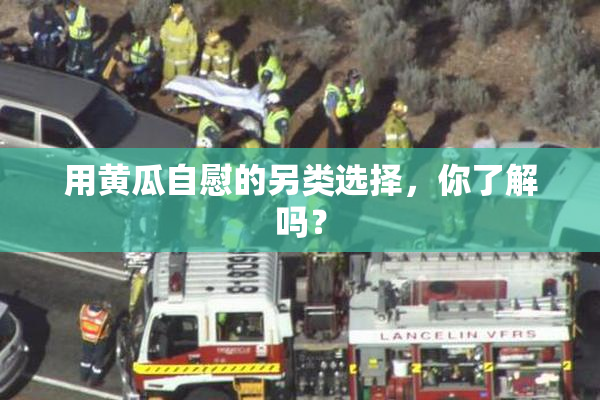 用黄瓜自慰的另类选择，你了解吗？