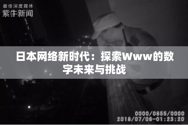 日本网络新时代：探索Www的数字未来与挑战