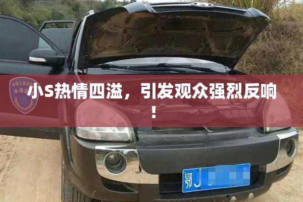 小S热情四溢，引发观众强烈反响！