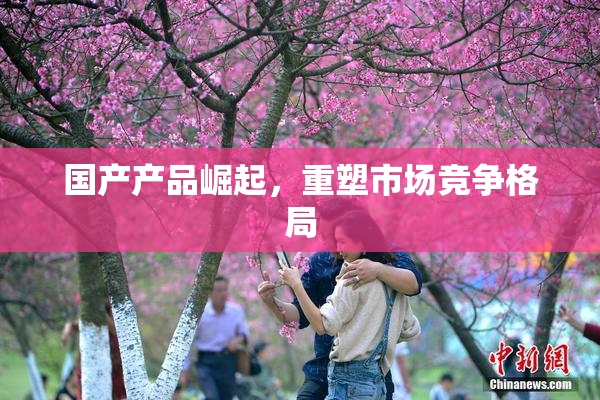国产产品崛起，重塑市场竞争格局