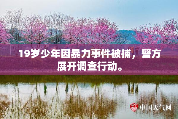 19岁少年因暴力事件被捕，警方展开调查行动。