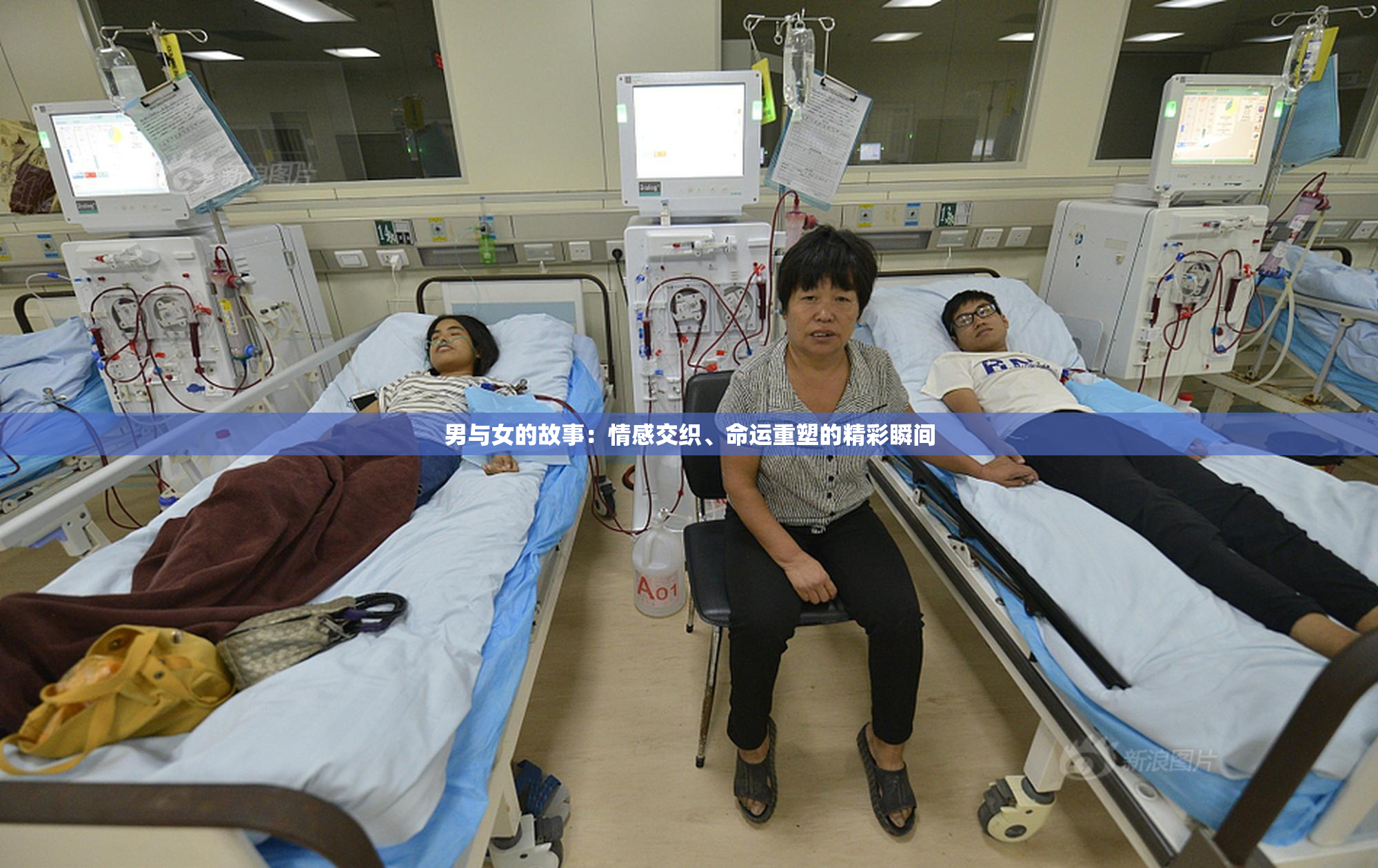 男与女的故事：情感交织、命运重塑的精彩瞬间