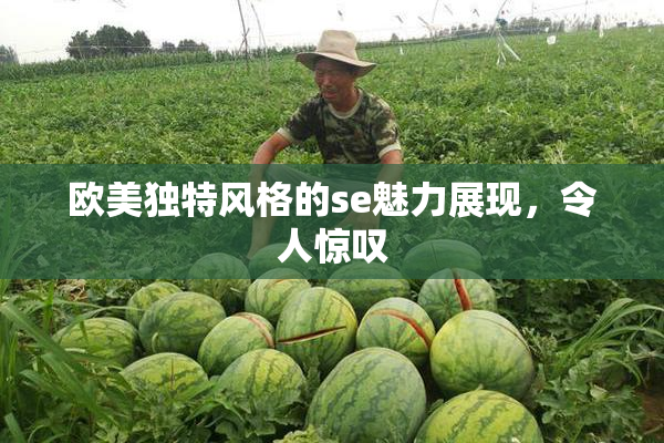 欧美独特风格的se魅力展现，令人惊叹