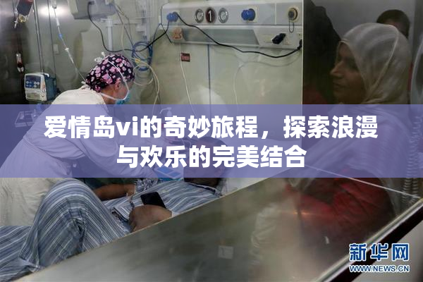 爱情岛vi的奇妙旅程，探索浪漫与欢乐的完美结合