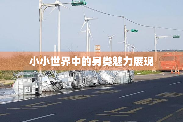 小小世界中的另类魅力展现