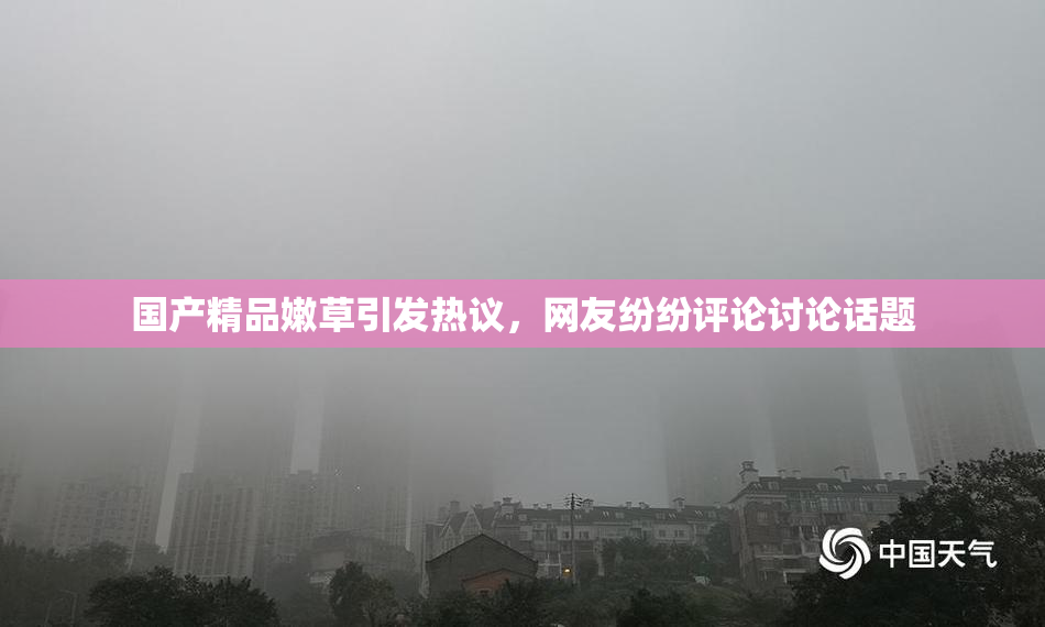 国产精品嫩草引发热议，网友纷纷评论讨论话题