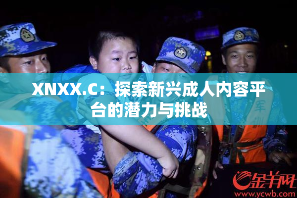 XNXX.C：探索新兴成人内容平台的潜力与挑战