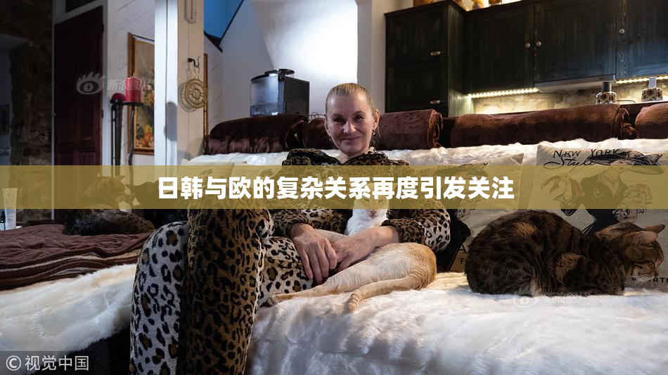 日韩与欧的复杂关系再度引发关注