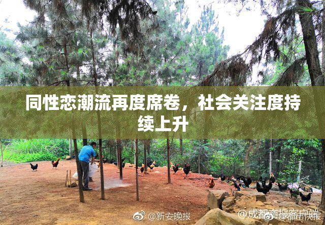 同性恋潮流再度席卷，社会关注度持续上升