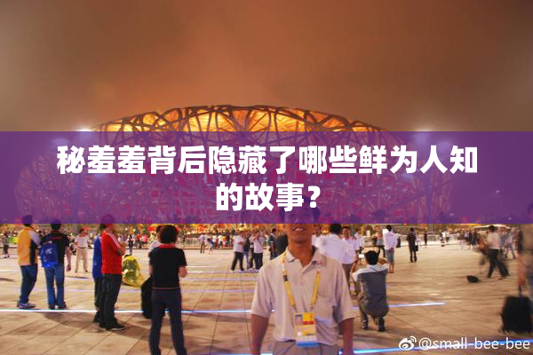 秘羞羞背后隐藏了哪些鲜为人知的故事？
