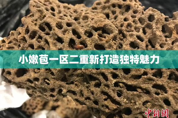 小嫩苞一区二重新打造独特魅力