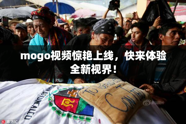 mogo视频惊艳上线，快来体验全新视界！