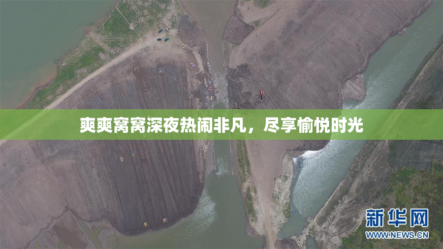 爽爽窝窝深夜热闹非凡，尽享愉悦时光