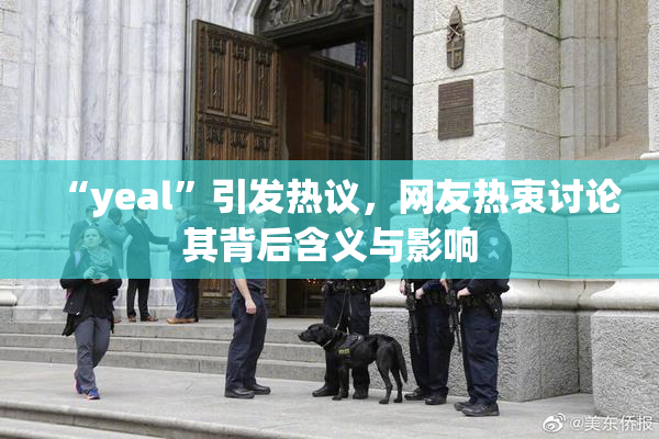 “yeal”引发热议，网友热衷讨论其背后含义与影响