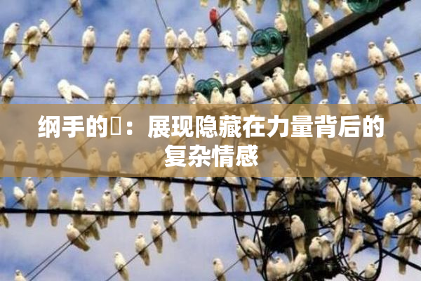 纲手的婬：展现隐藏在力量背后的复杂情感